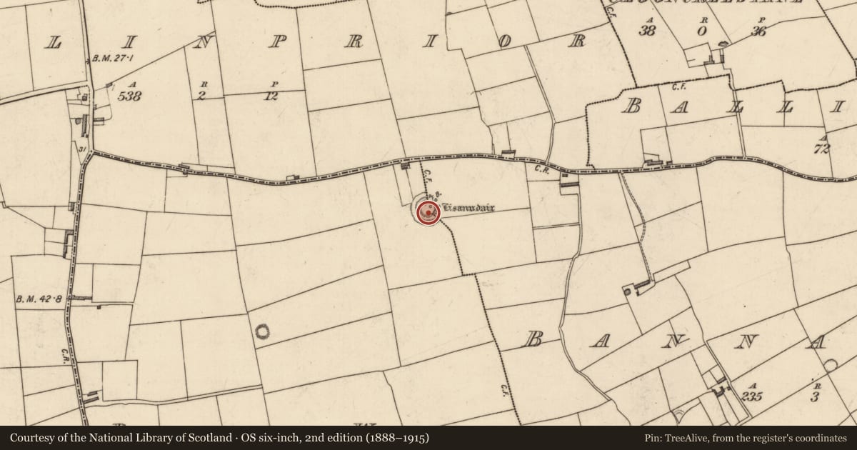 Ordnance Survey six-inch map, 2nd edition (1888–1915) covering the location of Ringfort - rath, Banna East, Banna West, County Kerry, with a pin at the register's coordinates