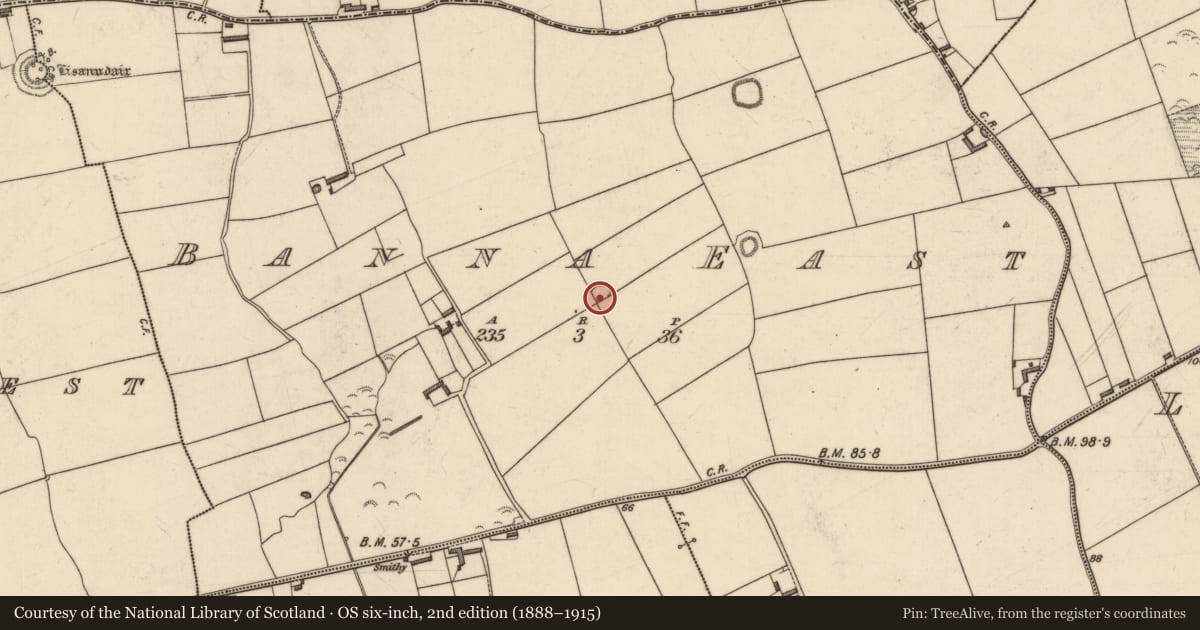 Ordnance Survey six-inch map, 2nd edition (1888–1915) covering the location of Ringfort - rath, Banna East, County Kerry, with a pin at the register's coordinates