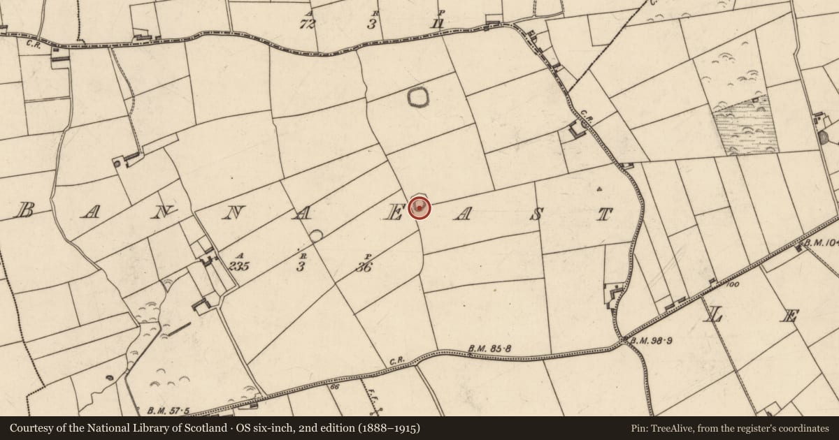 Ordnance Survey six-inch map, 2nd edition (1888–1915) covering the location of Ringfort - rath, Banna East, County Kerry, with a pin at the register's coordinates