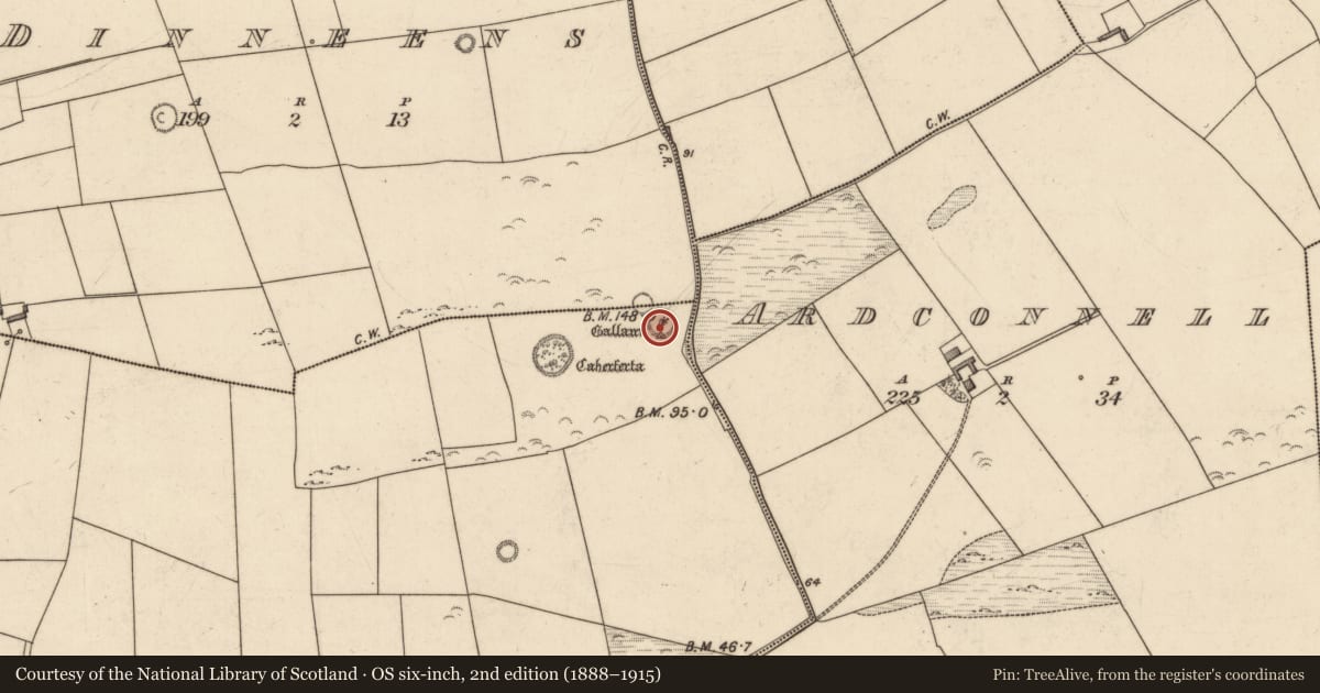 Ordnance Survey six-inch map, 2nd edition (1888–1915) covering the location of Standing stone, Killeacle, County Kerry, with a pin at the register's coordinates