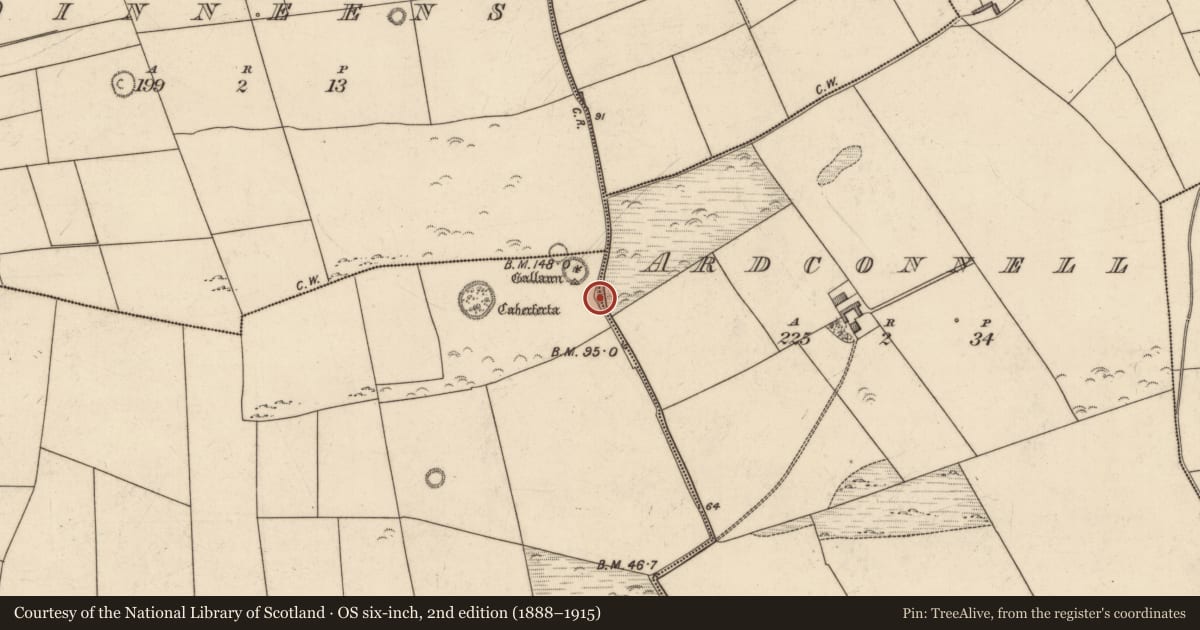 Ordnance Survey six-inch map, 2nd edition (1888–1915) covering the location of Cist, Killeacle, County Kerry, with a pin at the register's coordinates