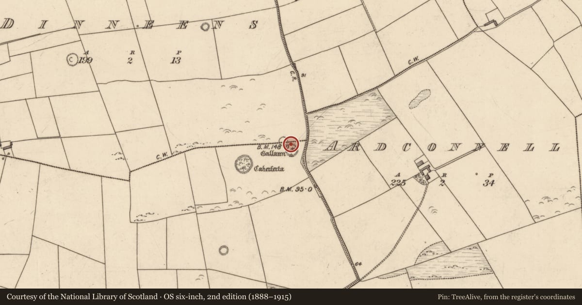 Ordnance Survey six-inch map, 2nd edition (1888–1915) covering the location of Standing stone (present location), Killeacle, County Kerry, with a pin at the register's coordinates