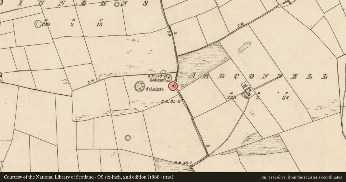 Ordnance Survey six-inch map, 2nd edition (1888–1915) covering the location of Barrow - ring-barrow, Killeacle, County Kerry, with a pin at the register's coordinates