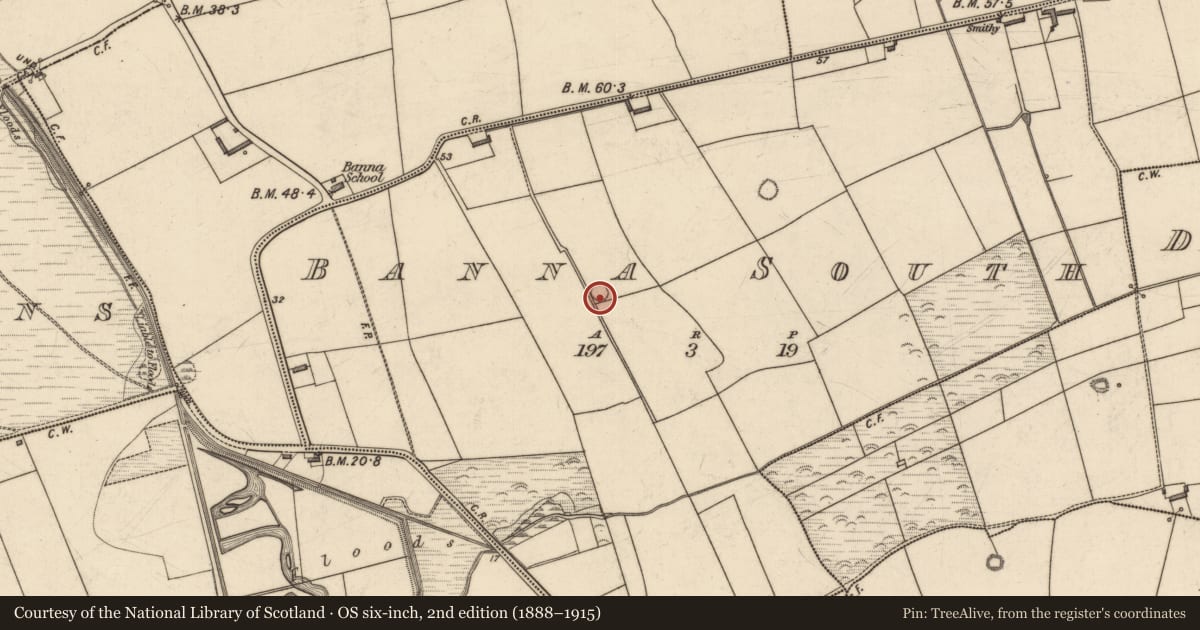 Ordnance Survey six-inch map, 2nd edition (1888–1915) covering the location of Enclosure, Banna South, County Kerry, with a pin at the register's coordinates