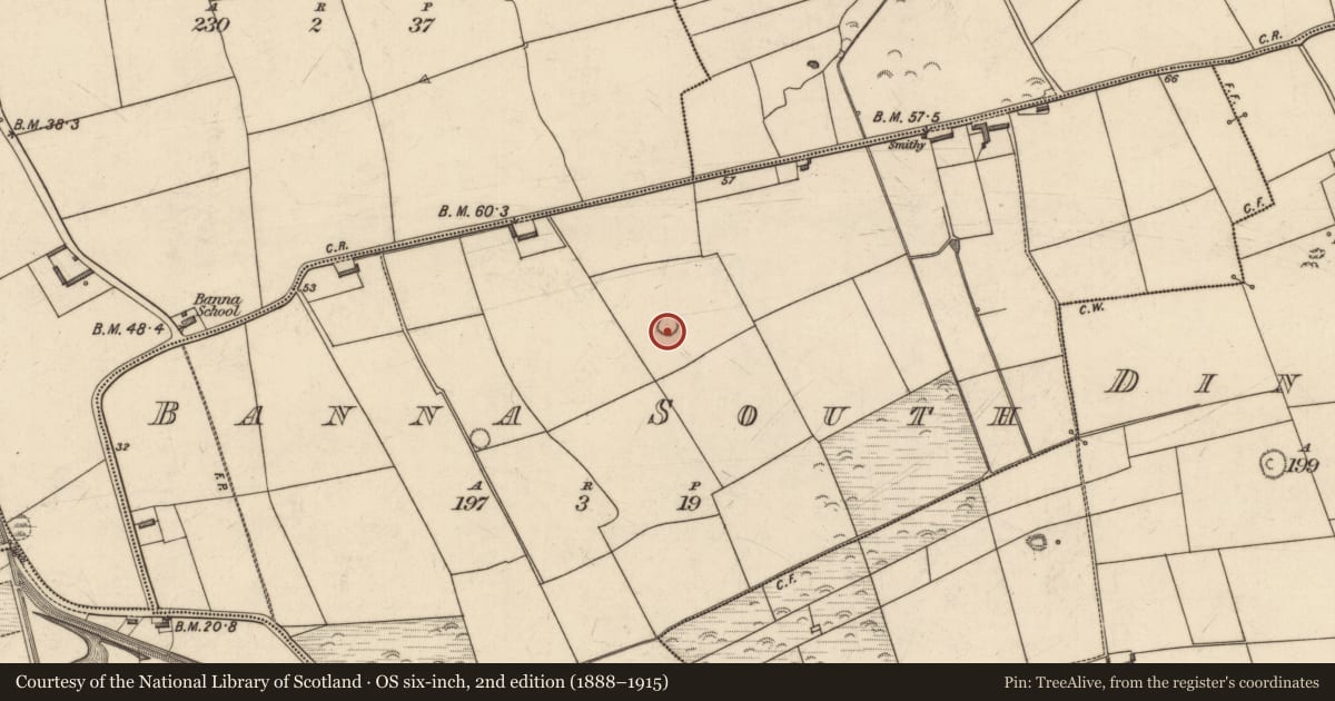 Ordnance Survey six-inch map, 2nd edition (1888–1915) covering the location of Enclosure, Banna South, County Kerry, with a pin at the register's coordinates