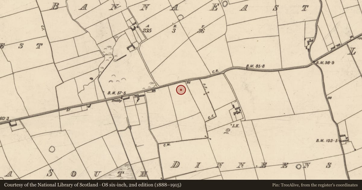 Ordnance Survey six-inch map, 2nd edition (1888–1915) covering the location of Enclosure, Banna South, County Kerry, with a pin at the register's coordinates