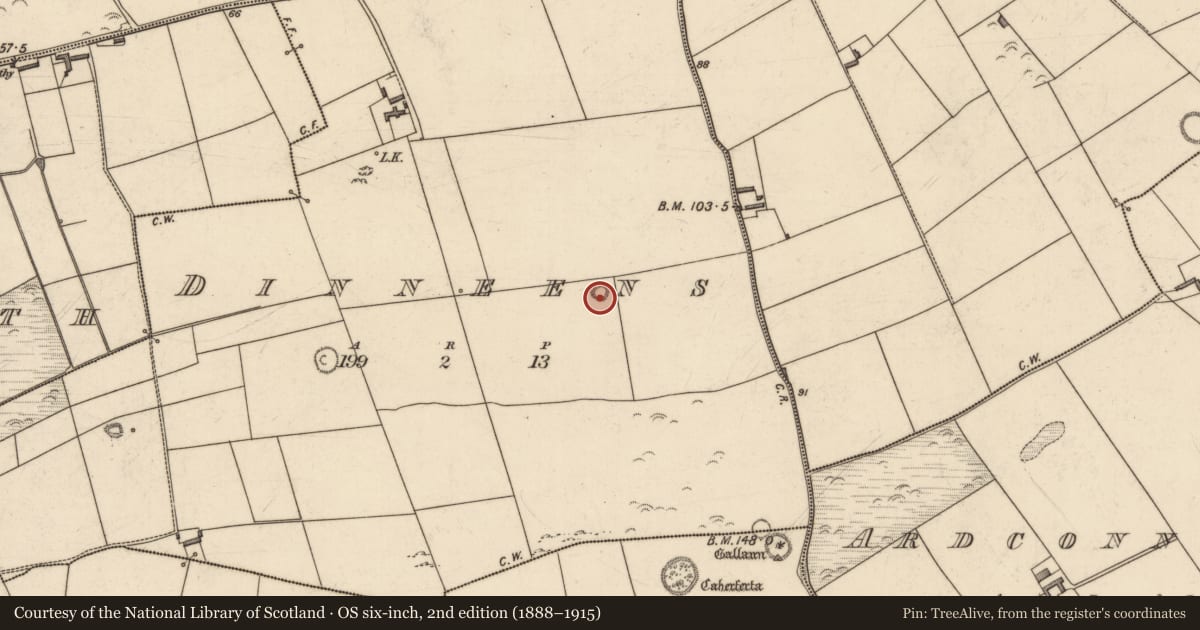 Ordnance Survey six-inch map, 2nd edition (1888–1915) covering the location of House - indeterminate date, Dinneens, County Kerry, with a pin at the register's coordinates