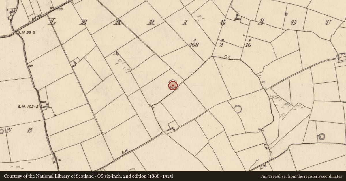 Ordnance Survey six-inch map, 2nd edition (1888–1915) covering the location of Ringfort - rath, Lerrig South, County Kerry, with a pin at the register's coordinates