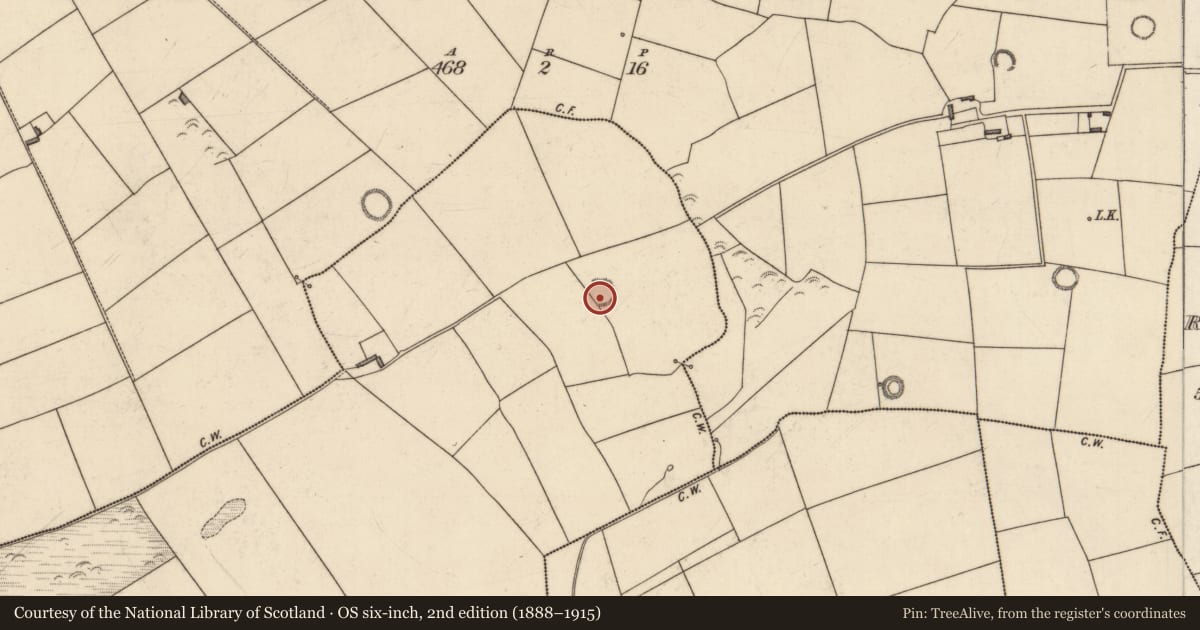 Ordnance Survey six-inch map, 2nd edition (1888–1915) covering the location of Ringfort - rath, Ardconnell, County Kerry, with a pin at the register's coordinates