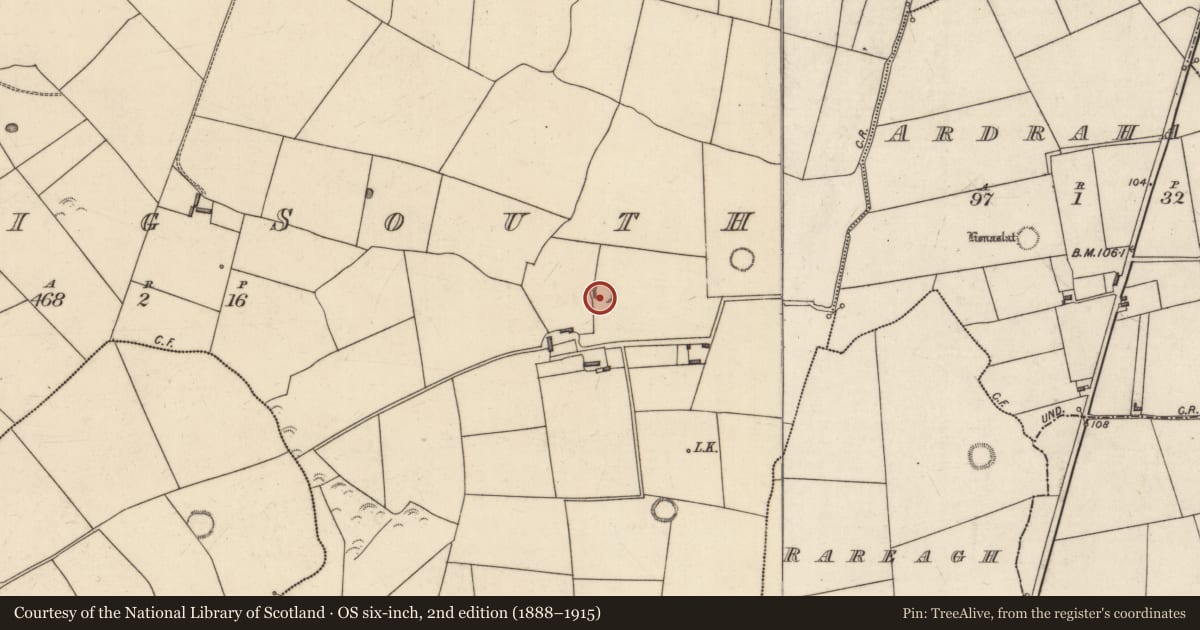 Ordnance Survey six-inch map, 2nd edition (1888–1915) covering the location of Ringfort - rath, Lerrig South, County Kerry, with a pin at the register's coordinates