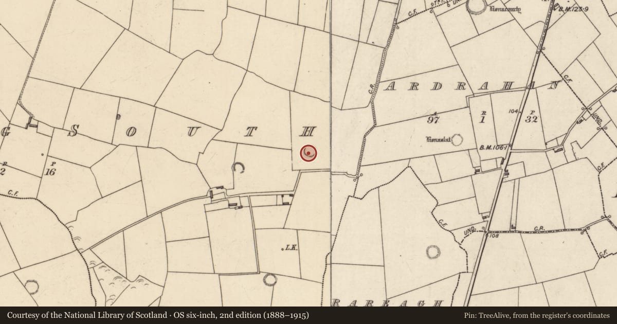 Ordnance Survey six-inch map, 2nd edition (1888–1915) covering the location of Ringfort - rath, Lerrig South, County Kerry, with a pin at the register's coordinates