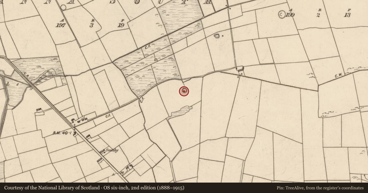Ordnance Survey six-inch map, 2nd edition (1888–1915) covering the location of Souterrain, Killeacle, County Kerry, with a pin at the register's coordinates