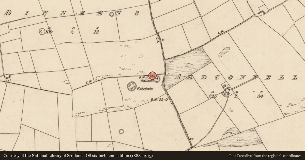 Ordnance Survey six-inch map, 2nd edition (1888–1915) covering the location of Enclosure, Killeacle, Dinneens, County Kerry, with a pin at the register's coordinates