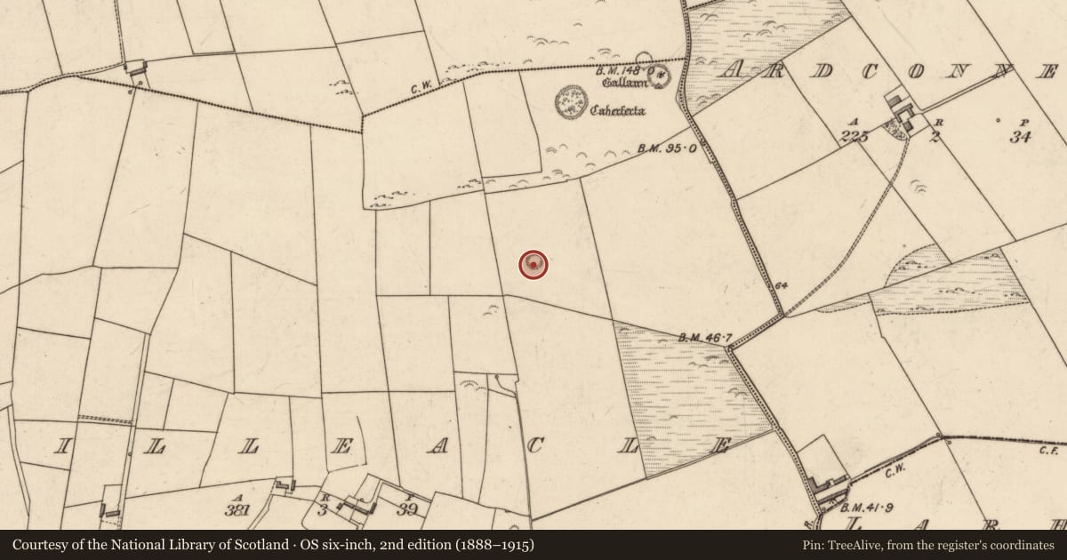 Ordnance Survey six-inch map, 2nd edition (1888–1915) covering the location of Enclosure, Killeacle, County Kerry, with a pin at the register's coordinates