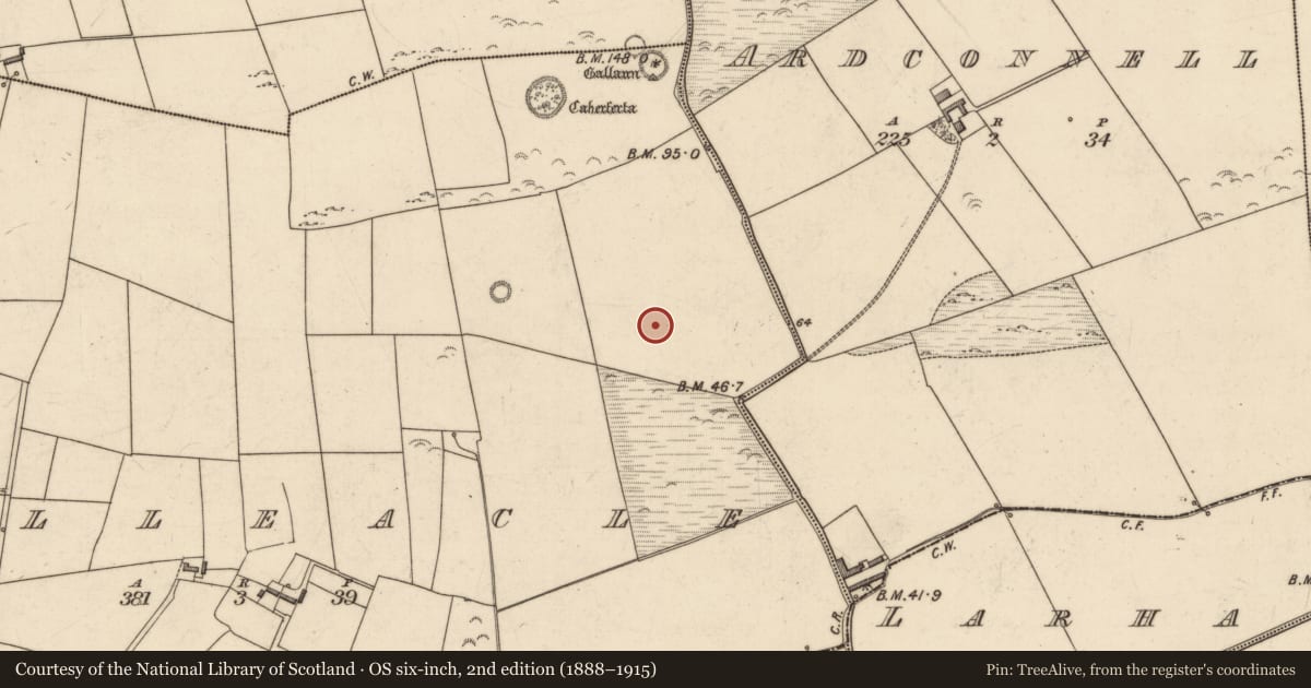Ordnance Survey six-inch map, 2nd edition (1888–1915) covering the location of Enclosure, Killeacle, County Kerry, with a pin at the register's coordinates