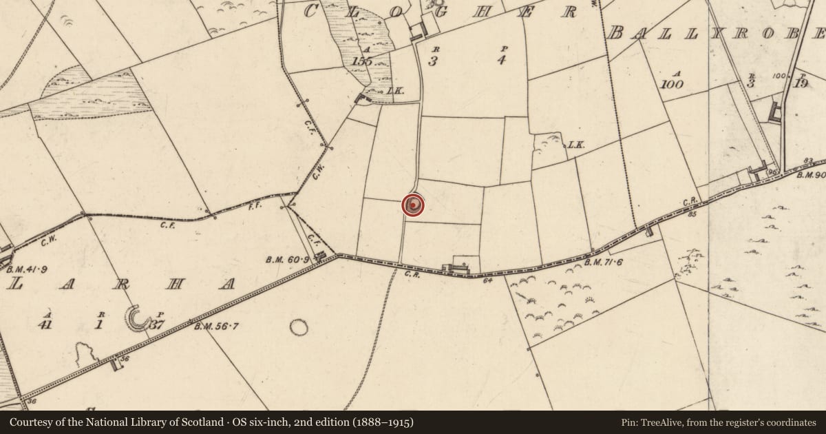 Ordnance Survey six-inch map, 2nd edition (1888–1915) covering the location of Ringfort - rath, Clogher, County Kerry, with a pin at the register's coordinates