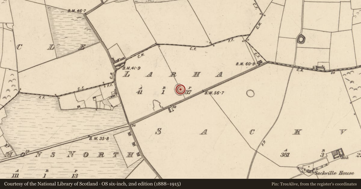 Ordnance Survey six-inch map, 2nd edition (1888–1915) covering the location of Ringfort - rath, Larha, County Kerry, with a pin at the register's coordinates