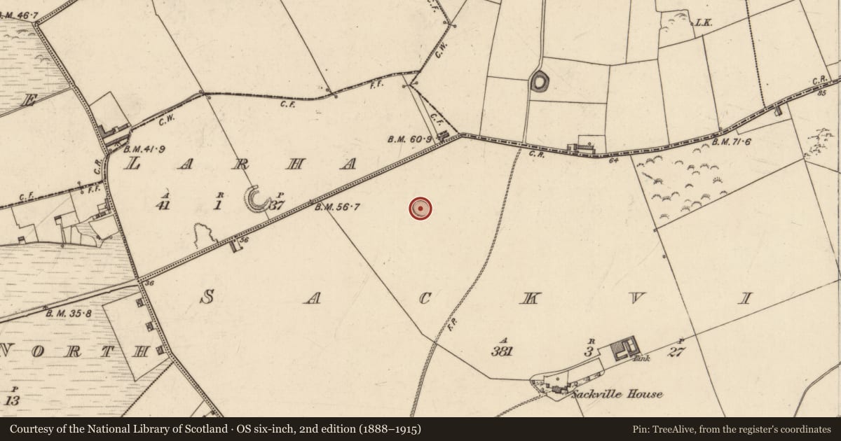 Ordnance Survey six-inch map, 2nd edition (1888–1915) covering the location of Enclosure, Sackville, County Kerry, with a pin at the register's coordinates