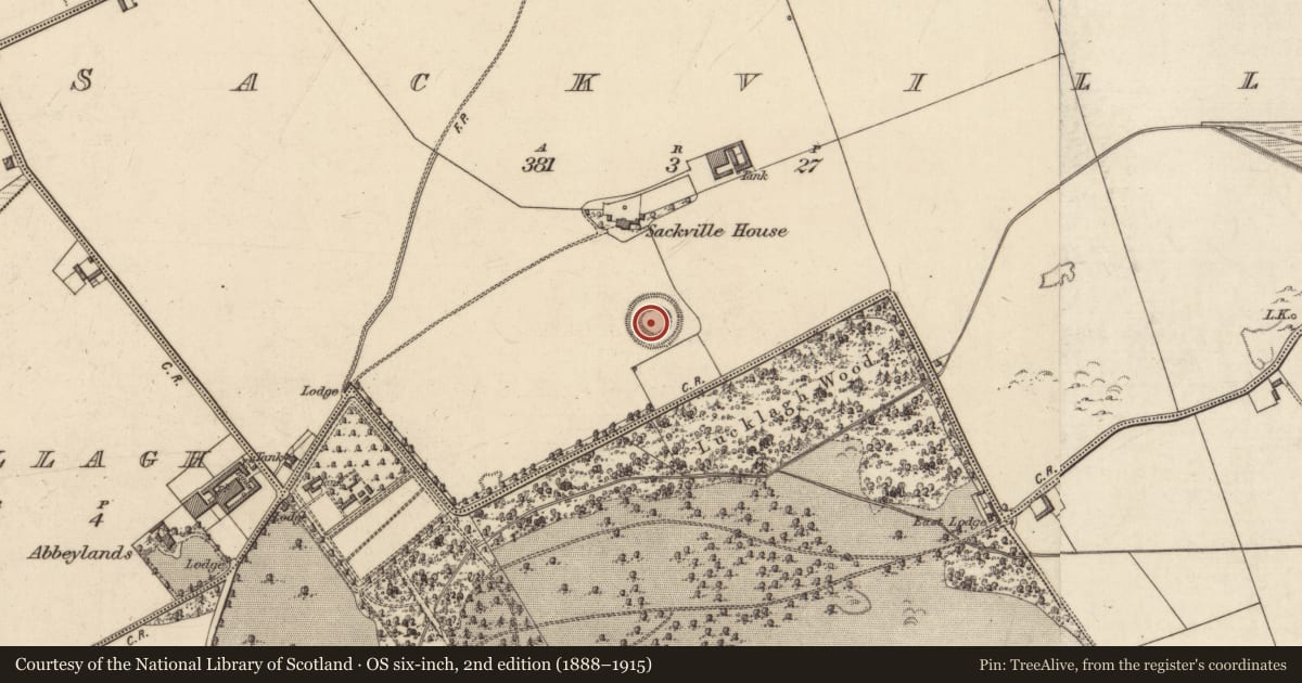 Ordnance Survey six-inch map, 2nd edition (1888–1915) covering the location of Ringfort - rath, Sackville, County Kerry, with a pin at the register's coordinates