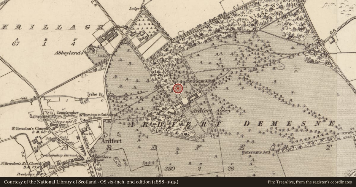 Ordnance Survey six-inch map, 2nd edition (1888–1915) covering the location of Sheela-na-gig, Ardfert, County Kerry, with a pin at the register's coordinates
