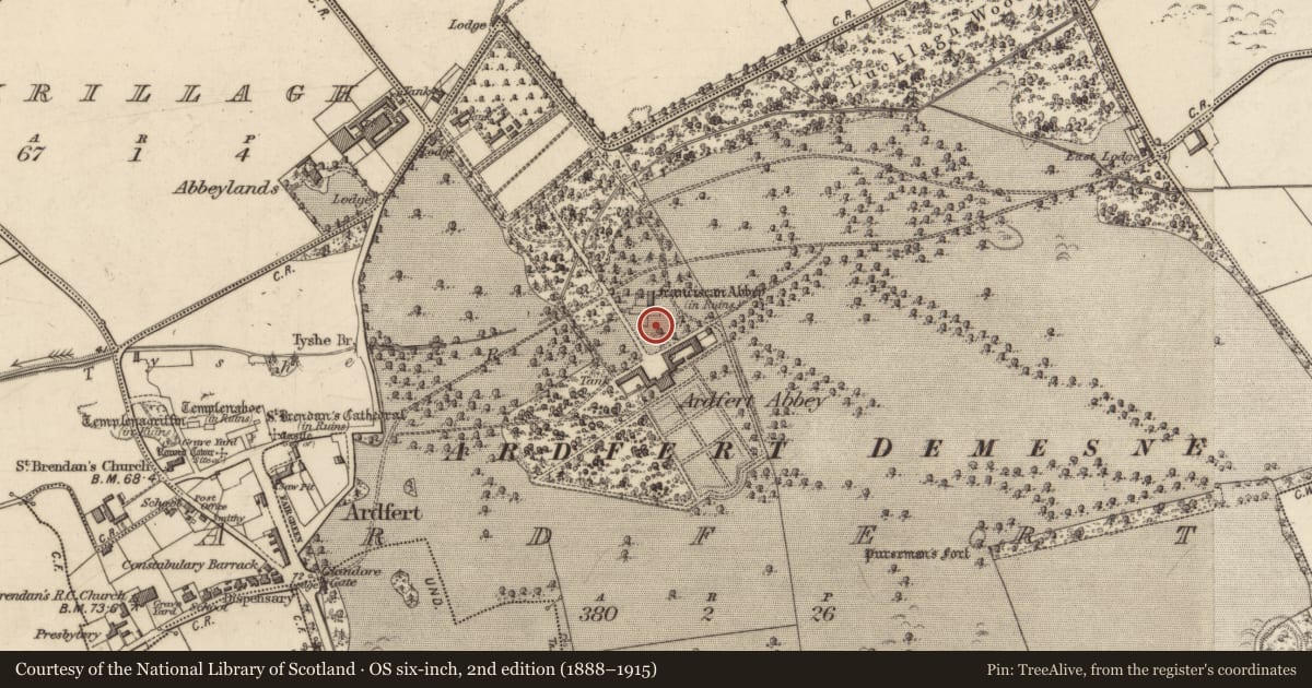Ordnance Survey six-inch map, 2nd edition (1888–1915) covering the location of Graveslab, Ardfert, County Kerry, with a pin at the register's coordinates