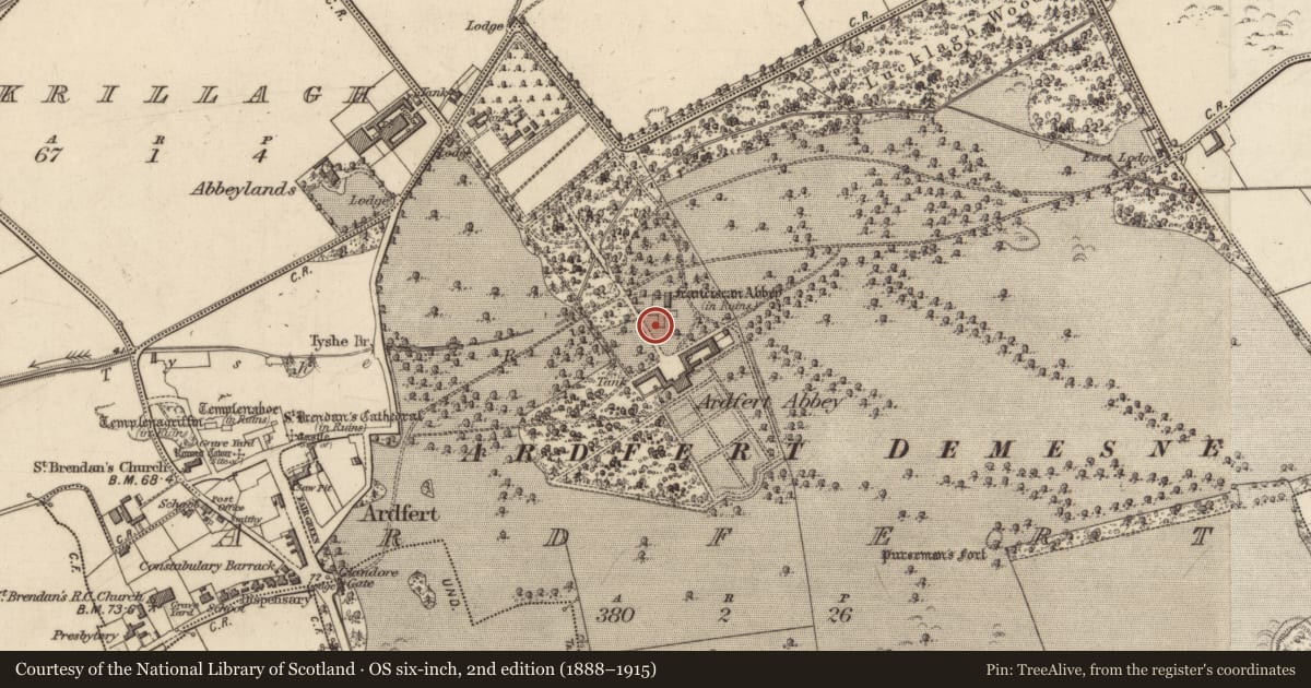 Ordnance Survey six-inch map, 2nd edition (1888–1915) covering the location of Inscribed stone, Ardfert, County Kerry, with a pin at the register's coordinates