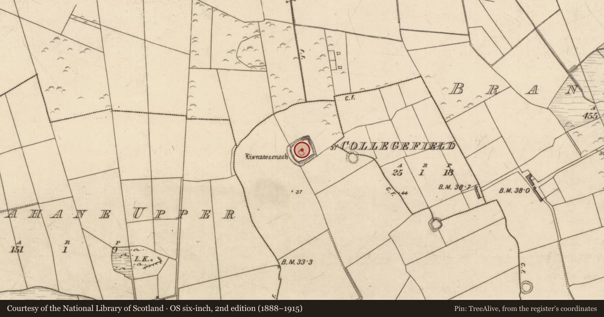 Ordnance Survey six-inch map, 2nd edition (1888–1915) covering the location of Ringfort - rath, Rahoneen, County Kerry, with a pin at the register's coordinates