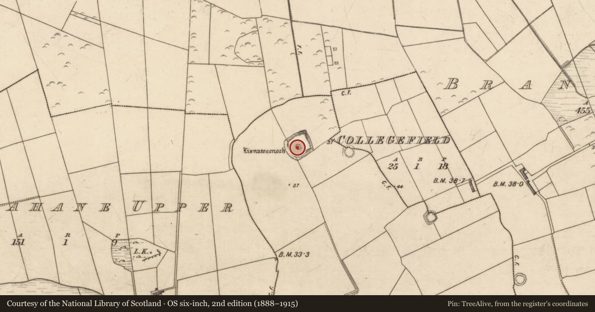 Ordnance Survey six-inch map, 2nd edition (1888–1915) covering the location of House - indeterminate date, Rahoneen, County Kerry, with a pin at the register's coordinates