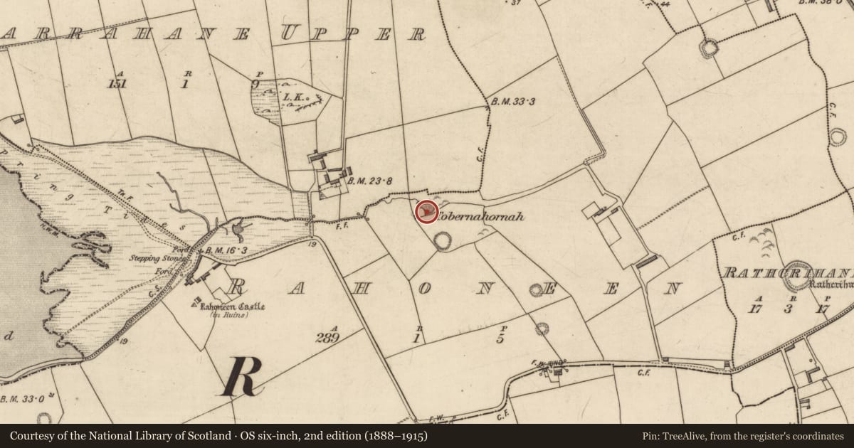 Ordnance Survey six-inch map, 2nd edition (1888–1915) covering the location of Ritual site - holy well, Rahoneen, County Kerry, with a pin at the register's coordinates