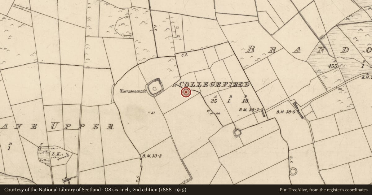 Ordnance Survey six-inch map, 2nd edition (1888–1915) covering the location of Enclosure, Collegefield, Rahoneen, County Kerry, with a pin at the register's coordinates