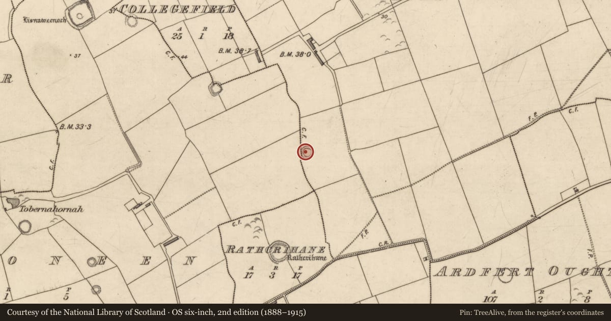 Ordnance Survey six-inch map, 2nd edition (1888–1915) covering the location of Enclosure, Brandonwell, Rahoneen, County Kerry, with a pin at the register's coordinates