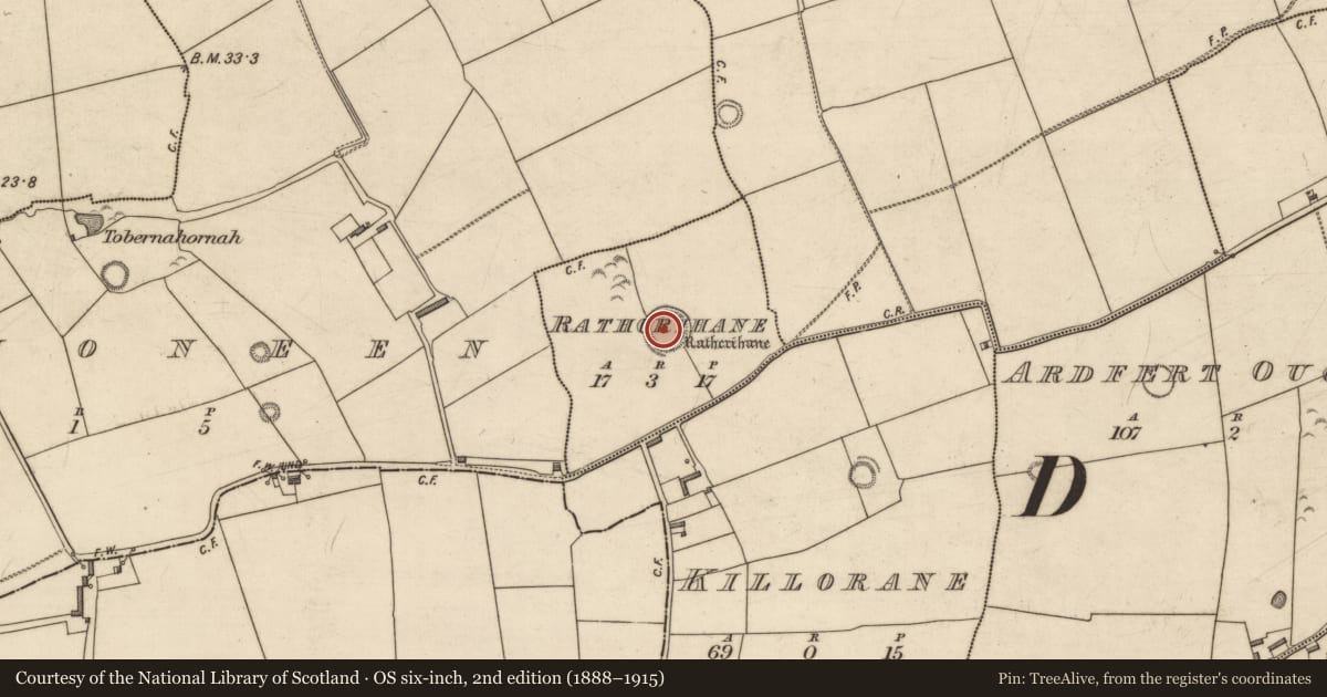 Ordnance Survey six-inch map, 2nd edition (1888–1915) covering the location of Enclosure, Rathcrihane, County Kerry, with a pin at the register's coordinates