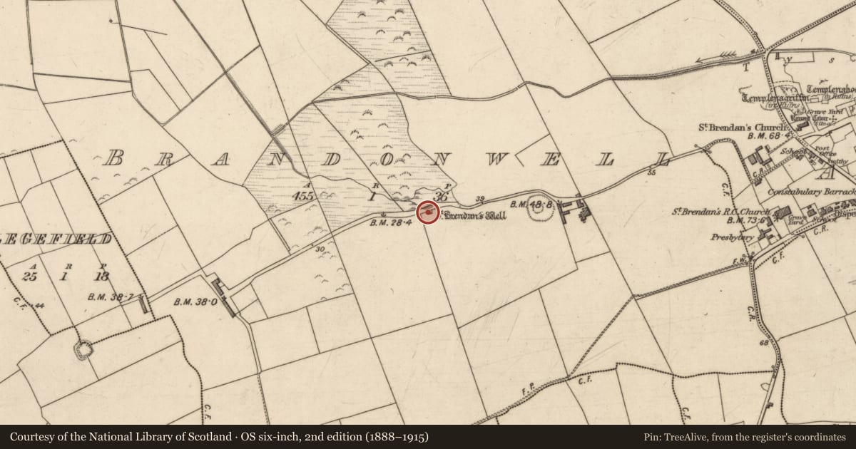 Ordnance Survey six-inch map, 2nd edition (1888–1915) covering the location of Ritual site - holy well, Brandonwell, County Kerry, with a pin at the register's coordinates