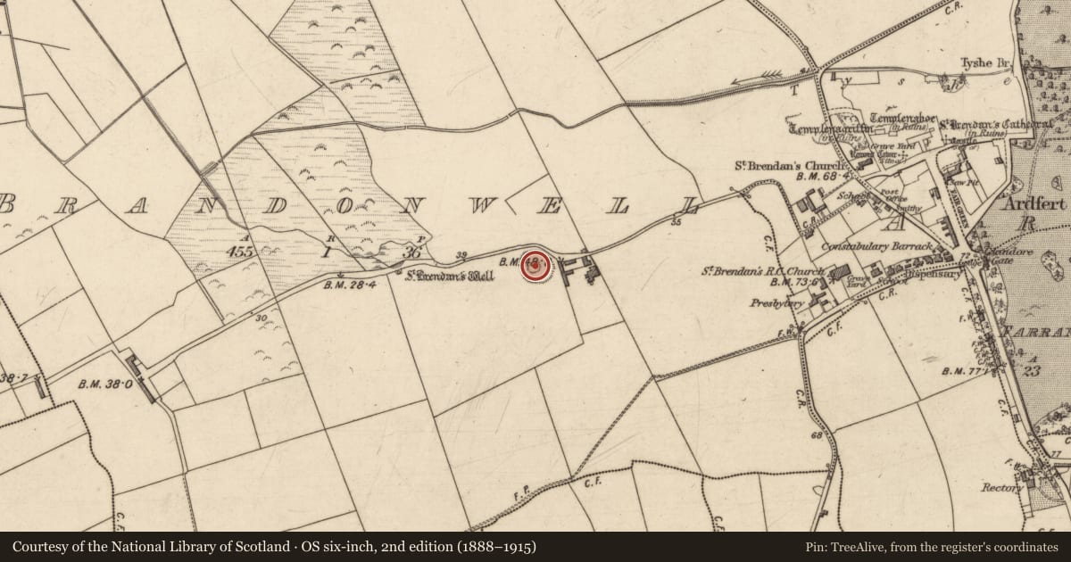 Ordnance Survey six-inch map, 2nd edition (1888–1915) covering the location of Enclosure, Brandonwell, County Kerry, with a pin at the register's coordinates