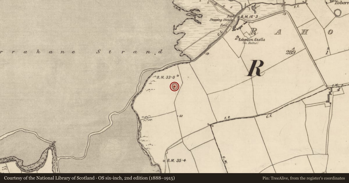 Ordnance Survey six-inch map, 2nd edition (1888–1915) covering the location of Enclosure, Rahoneen, County Kerry, with a pin at the register's coordinates