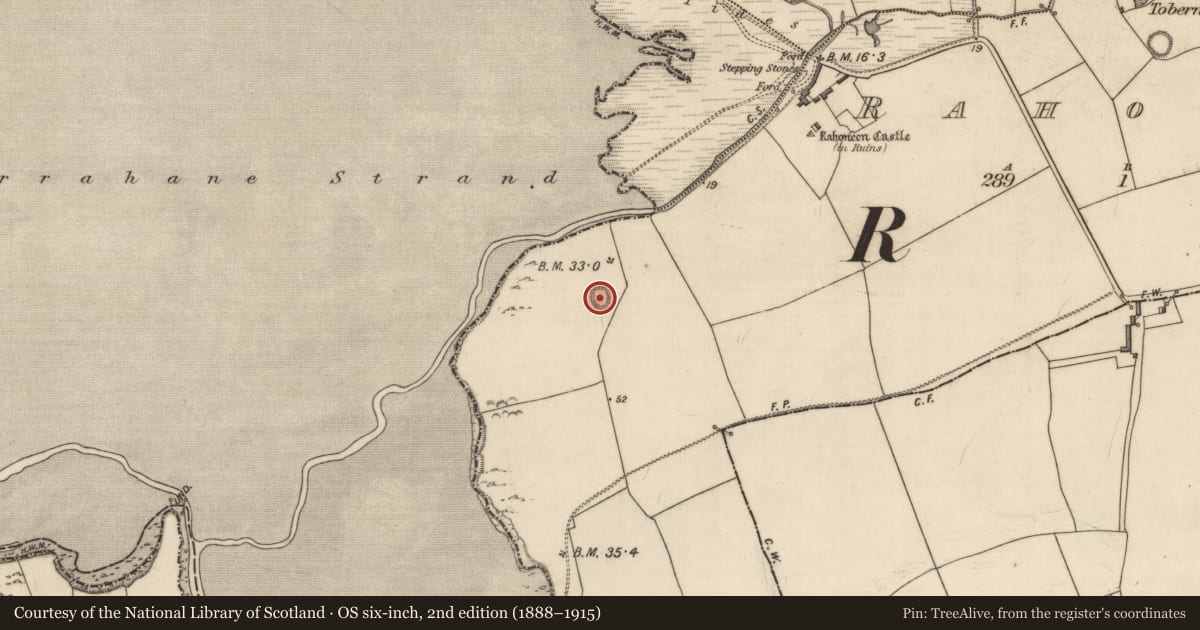 Ordnance Survey six-inch map, 2nd edition (1888–1915) covering the location of Souterrain, Rahoneen, County Kerry, with a pin at the register's coordinates