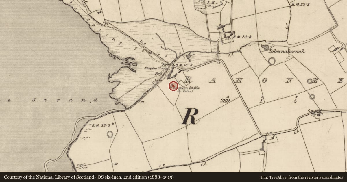 Ordnance Survey six-inch map, 2nd edition (1888–1915) covering the location of Castle - tower house, Rahoneen, County Kerry, with a pin at the register's coordinates