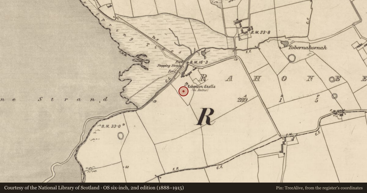 Ordnance Survey six-inch map, 2nd edition (1888–1915) covering the location of Earthwork, Rahoneen, County Kerry, with a pin at the register's coordinates