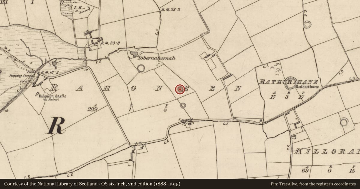 Ordnance Survey six-inch map, 2nd edition (1888–1915) covering the location of Enclosure, Rahoneen, County Kerry, with a pin at the register's coordinates