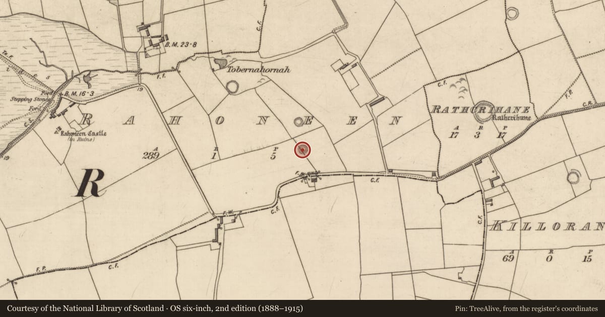Ordnance Survey six-inch map, 2nd edition (1888–1915) covering the location of Enclosure, Rahoneen, County Kerry, with a pin at the register's coordinates