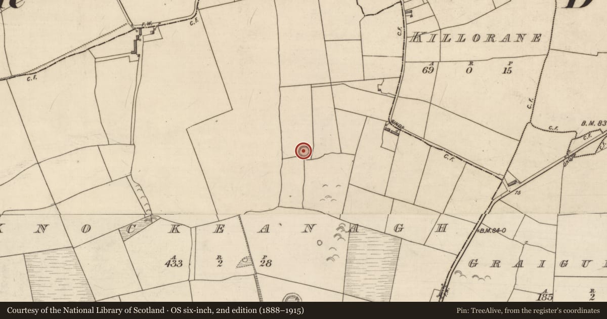 Ordnance Survey six-inch map, 2nd edition (1888–1915) covering the location of Ringfort - rath, Knockeanagh, County Kerry, with a pin at the register's coordinates
