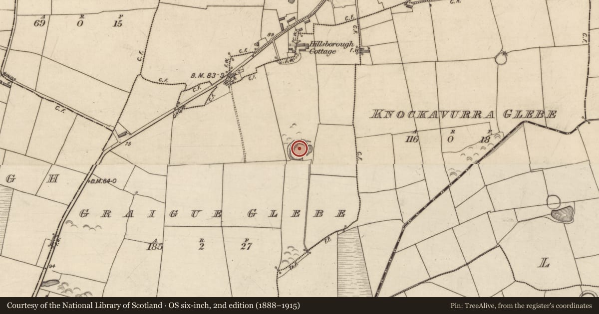 Ordnance Survey six-inch map, 2nd edition (1888–1915) covering the location of Ringfort - rath, Graigue Glebe, County Kerry, with a pin at the register's coordinates