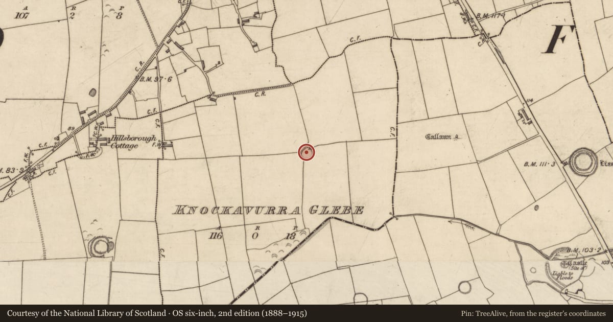 Ordnance Survey six-inch map, 2nd edition (1888–1915) covering the location of Souterrain, Knockavurra Glebe, County Kerry, with a pin at the register's coordinates