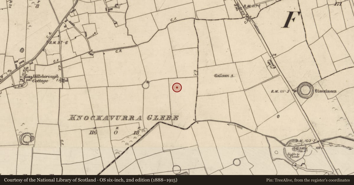Ordnance Survey six-inch map, 2nd edition (1888–1915) covering the location of Earthwork, Knockavurra Glebe, County Kerry, with a pin at the register's coordinates