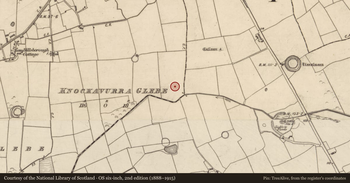 Ordnance Survey six-inch map, 2nd edition (1888–1915) covering the location of Earthwork, Knockavurra Glebe, County Kerry, with a pin at the register's coordinates