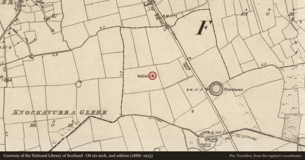 Ordnance Survey six-inch map, 2nd edition (1888–1915) covering the location of Standing stone, Liscahane, County Kerry, with a pin at the register's coordinates