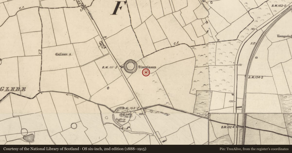 Ordnance Survey six-inch map, 2nd edition (1888–1915) covering the location of Enclosure, Liscahane, County Kerry, with a pin at the register's coordinates