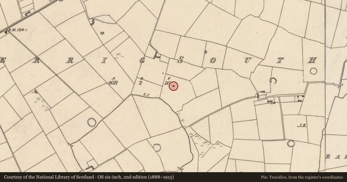 Ordnance Survey six-inch map, 2nd edition (1888–1915) covering the location of Fulacht fia, Lerrig South, County Kerry, with a pin at the register's coordinates