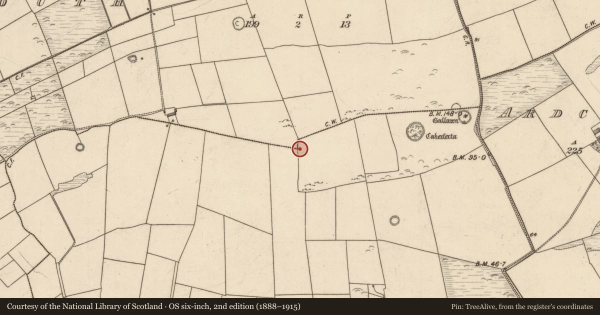 Ordnance Survey six-inch map, 2nd edition (1888–1915) covering the location of Stone head, Dinneens, Killeacle, County Kerry, with a pin at the register's coordinates