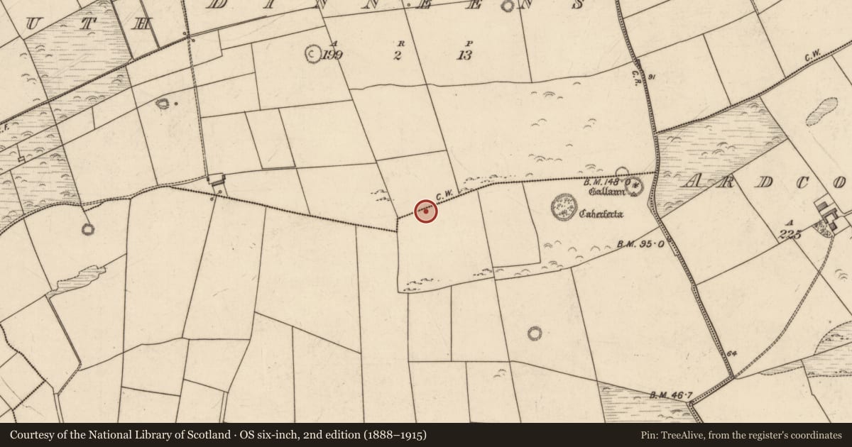 Ordnance Survey six-inch map, 2nd edition (1888–1915) covering the location of Church, Dinneens, Killeacle, County Kerry, with a pin at the register's coordinates